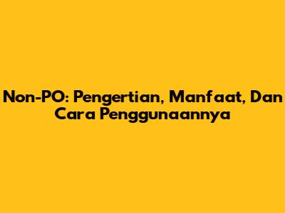 Non-PO: Pengertian, Manfaat, Dan Cara Penggunaannya
