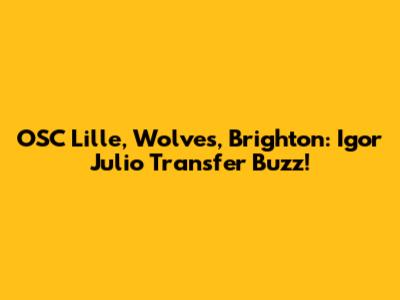 OSC Lille, Wolves, Brighton: Igor Julio Transfer Buzz!