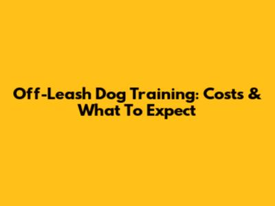 Off-Leash Dog Training: Costs & What To Expect