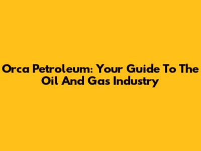 Orca Petroleum: Your Guide To The Oil And Gas Industry