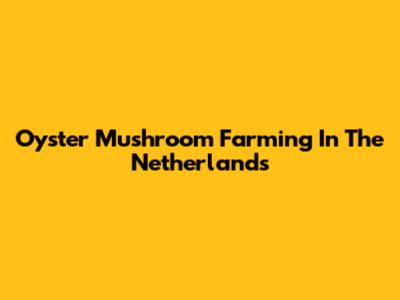 Oyster Mushroom Farming In The Netherlands