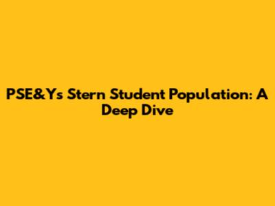 PSE&Y's Stern Student Population: A Deep Dive