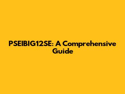PSEIBIG12SE: A Comprehensive Guide