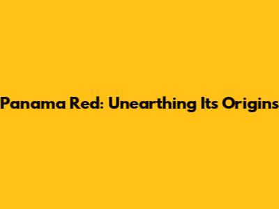 Panama Red: Unearthing Its Origins
