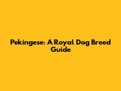 Pekingese: A Royal Dog Breed Guide