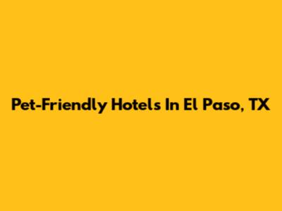 Pet-Friendly Hotels In El Paso, TX
