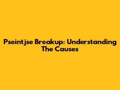 Pseintjse Breakup: Understanding The Causes