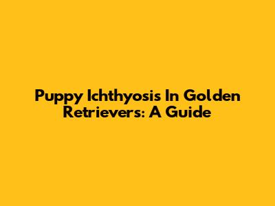 Puppy Ichthyosis In Golden Retrievers: A Guide