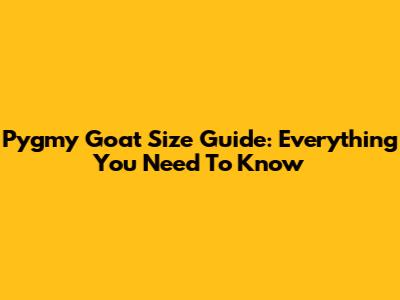 Pygmy Goat Size Guide: Everything You Need To Know