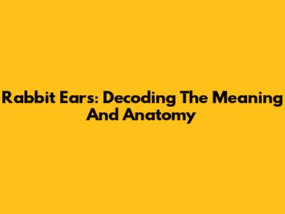 Rabbit Ears: Decoding The Meaning And Anatomy