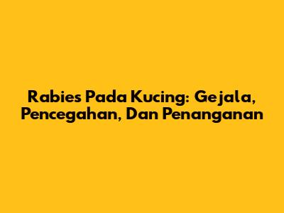 Rabies Pada Kucing: Gejala, Pencegahan, Dan Penanganan
