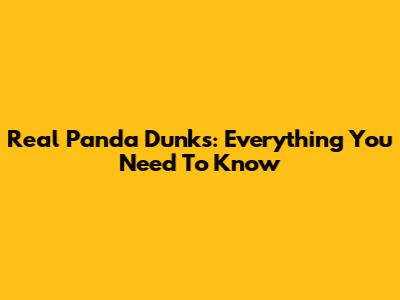 Real Panda Dunks: Everything You Need To Know