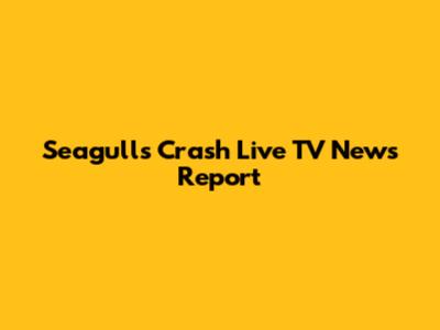 Seagulls Crash Live TV News Report
