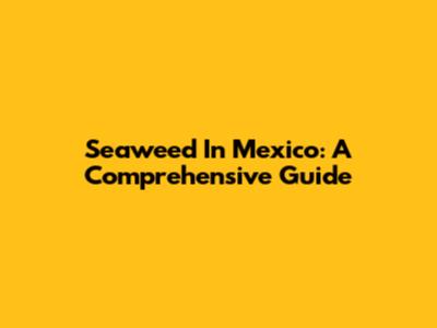 Seaweed In Mexico: A Comprehensive Guide