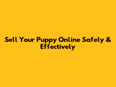 Sell Your Puppy Online Safely & Effectively
