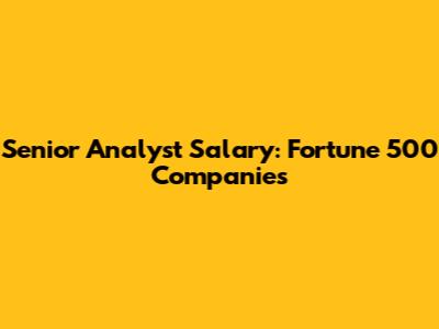 Senior Analyst Salary: Fortune 500 Companies