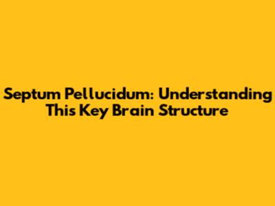 Septum Pellucidum: Understanding This Key Brain Structure