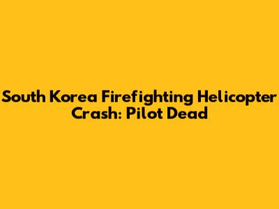 South Korea Firefighting Helicopter Crash: Pilot Dead