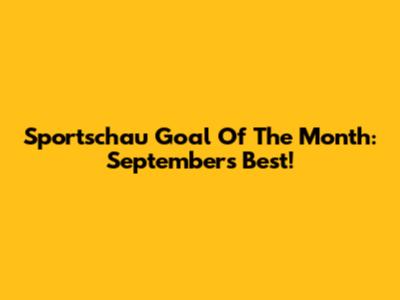 Sportschau Goal Of The Month: September's Best!