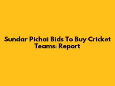 Sundar Pichai Bids To Buy Cricket Teams: Report