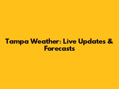 Tampa Weather: Live Updates & Forecasts