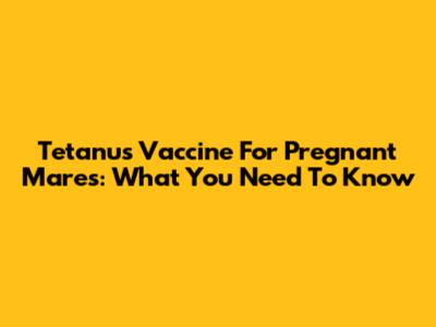 Tetanus Vaccine For Pregnant Mares: What You Need To Know