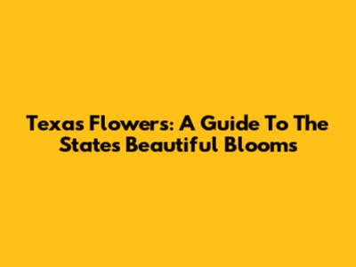 Texas Flowers: A Guide To The State's Beautiful Blooms