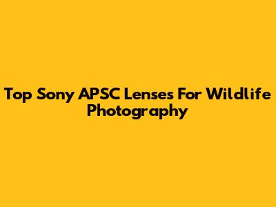 Top Sony APSC Lenses For Wildlife Photography