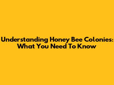 Understanding Honey Bee Colonies: What You Need To Know