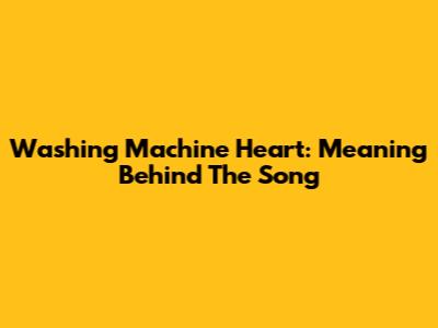 Washing Machine Heart: Meaning Behind The Song