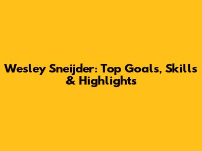 Wesley Sneijder: Top Goals, Skills & Highlights