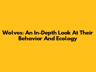 Wolves: An In-Depth Look At Their Behavior And Ecology