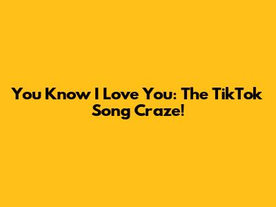 You Know I Love You: The TikTok Song Craze!